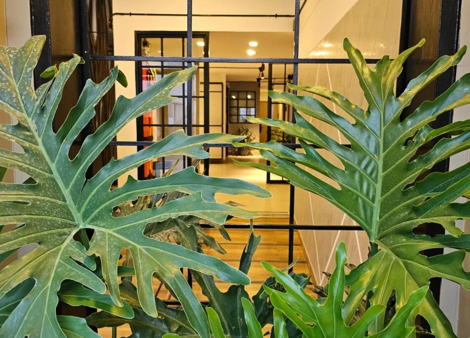 Hotel Aguacatala Stop Medellín